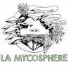 La Mycosphère
